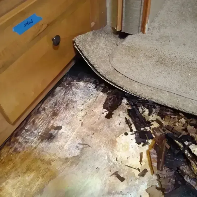 Best Wood Floor Water Damage Service in Sylvan Beach, NY